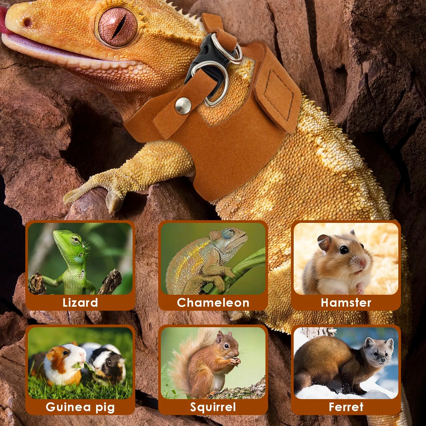 Adjustable 3-Piece Harness and Leash Set for Bearded Dragons, Chameleons, and Amphibians