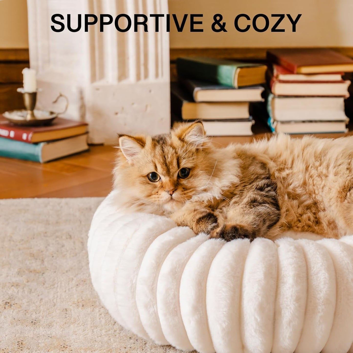 MEWOOFUN Calming Round Fluffy Dog Bed for Small Pets - Luxurious Non-Slip, Washable Design, 25x25x7 Inch in Cream