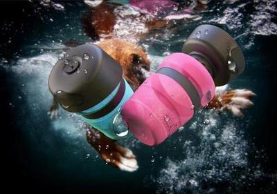 Pet Water Bottle