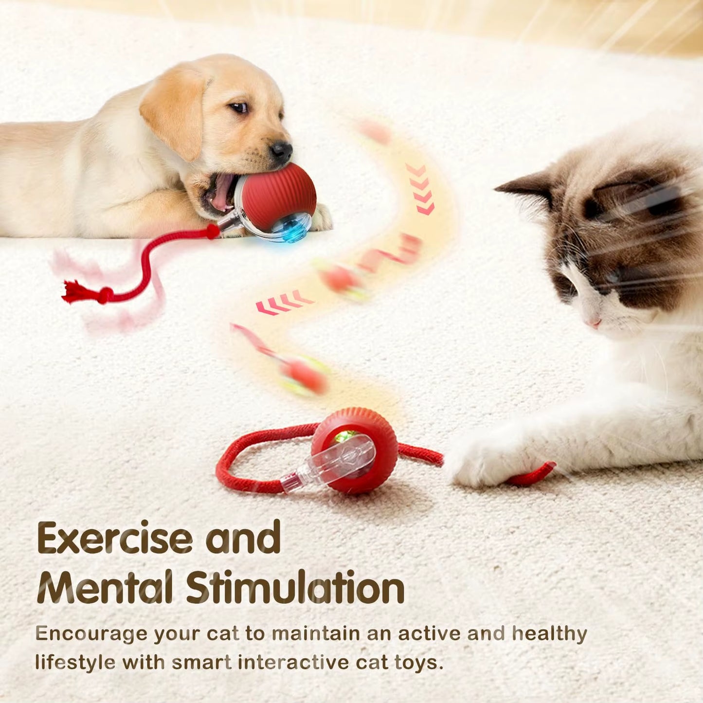 Interactive Rechargeable Cat Ball Toy with Tail - Automatic Rolling Smart Pet Plaything