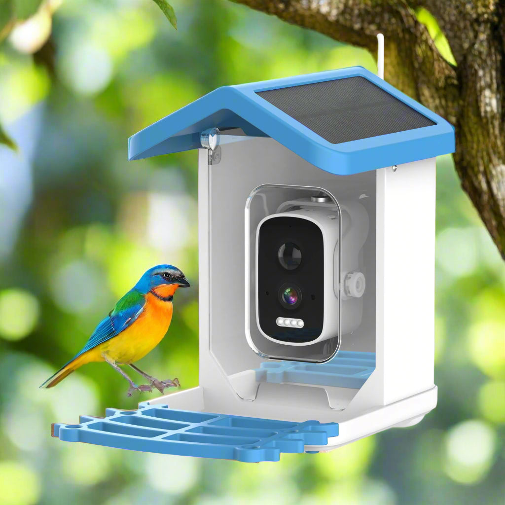 Intelligent Bird Feeding Recognition Solar HD Feeder