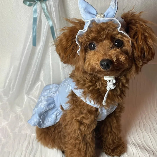 Embroidered Cat Princess Jumpsuit with Hat for Small Dogs and Teddy Bears - Spring and Summer Collection