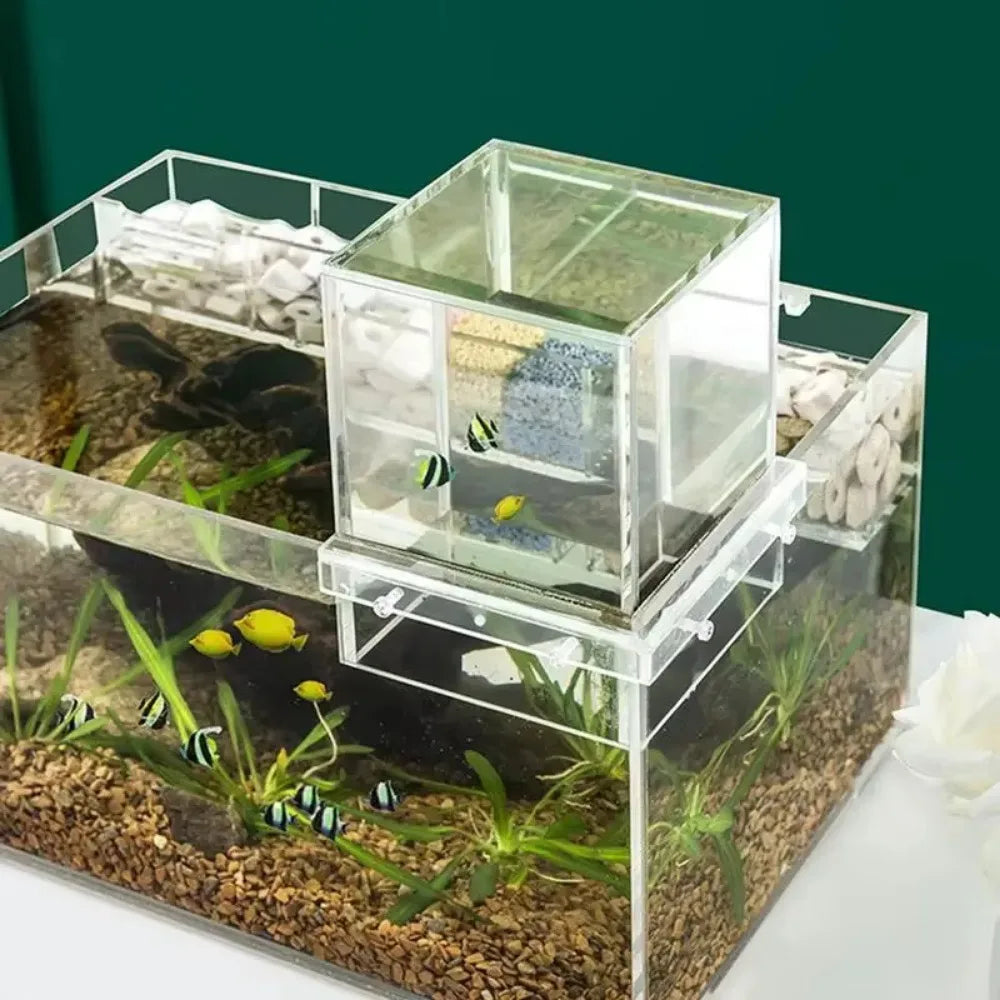 Acrylic Suspended Fish Tank with Innovative Negative Pressure Design - Effortless Installation and Striking Aquatic Display