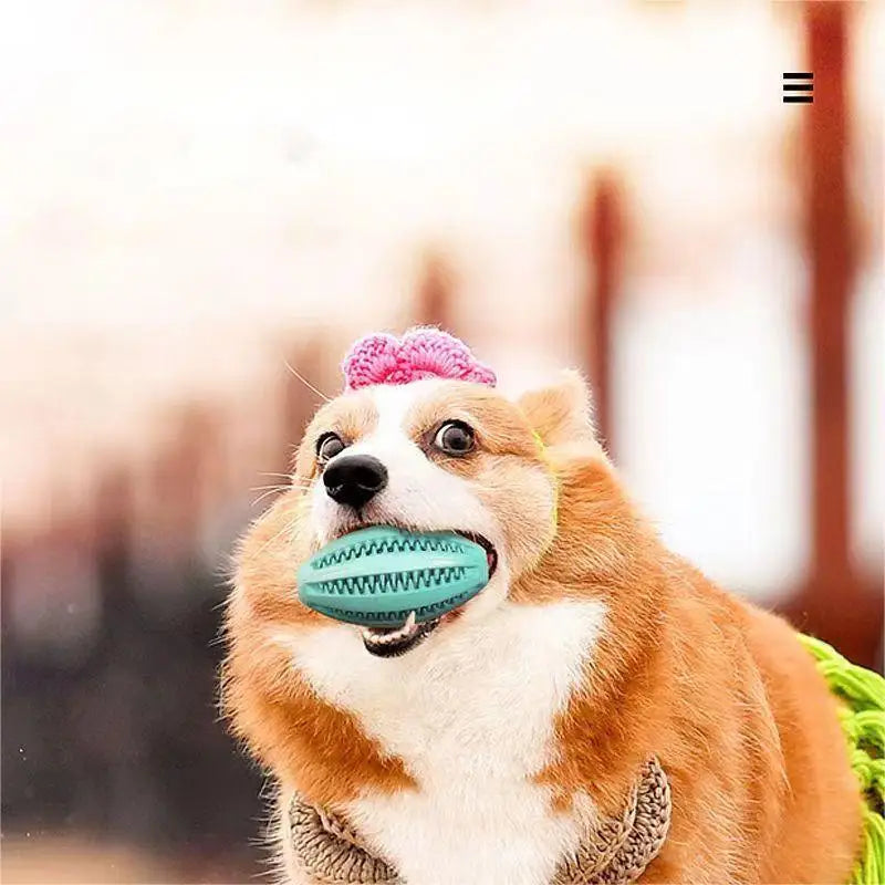 Pet Molar Watermelon Ball - Durable Silicone Chew Toy for Dogs with Tooth Cleaning and Food Dispensing Features