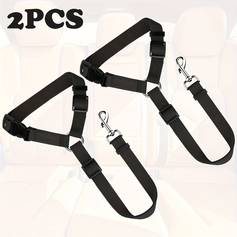 Two - Piece Dog Leash Set
