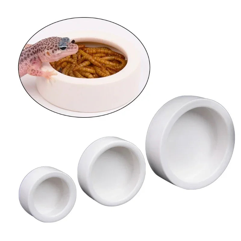 Ceramic Feeding and Water Bowl for Reptiles - Anti-Escape Dish for Hermit Crabs, Leopard Geckos, Chameleons, and Corn Snakes
