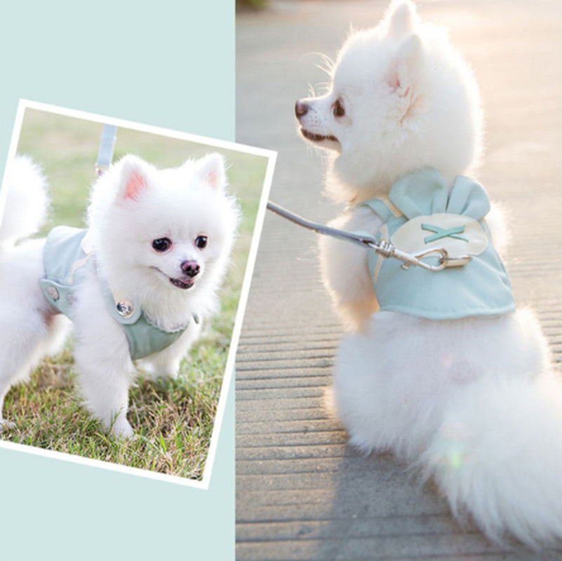 Elegant Dog Harness and Leash Ensemble