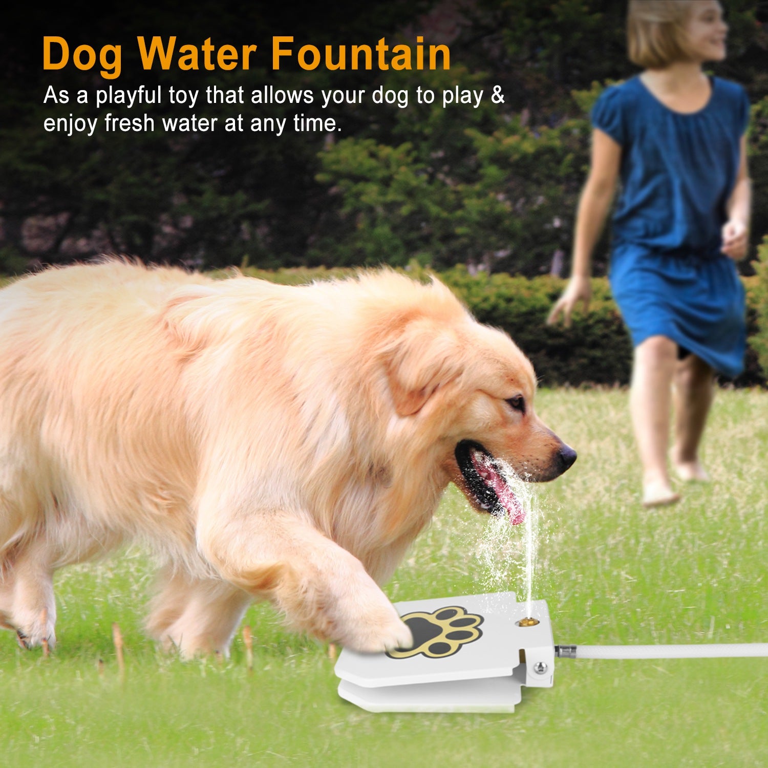 Outdoor Dog Water Fountain - Step-Activated Pet Water Dispenser with Interactive Paw Pedal Valve