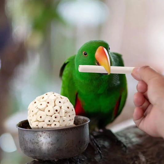 Parrot Chewing Toy Ball - Foraging Accessory for Small Parrots and Parakeets