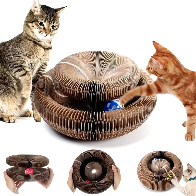 Interactive Cat Scratch and Climbing Board with Ball and Claw Grinding Surface for Kittens