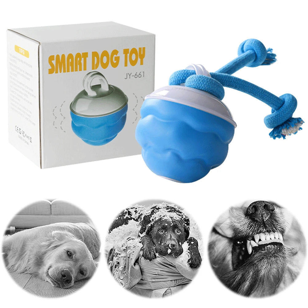 Electric Rolling Ball Interactive Pet Toy with Rope Motion - USB Rechargeable Exercise Toy for Dogs and Cats