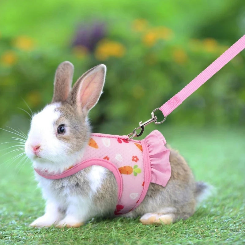 Adjustable Rabbit Harness and Leash - Breathable Mesh Vest with Skirt for Small Pets Including Bunnies and Guinea Pigs