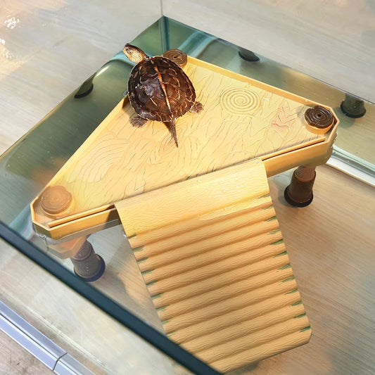 Multi-Functional Turtle Drying and Climbing Habitat