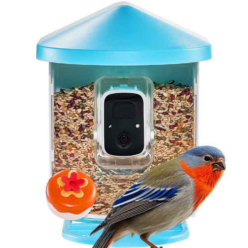 Intelligent Bird Feeder with 2K HD Camera and AI-Driven Bird Species Identification for Automated Capture