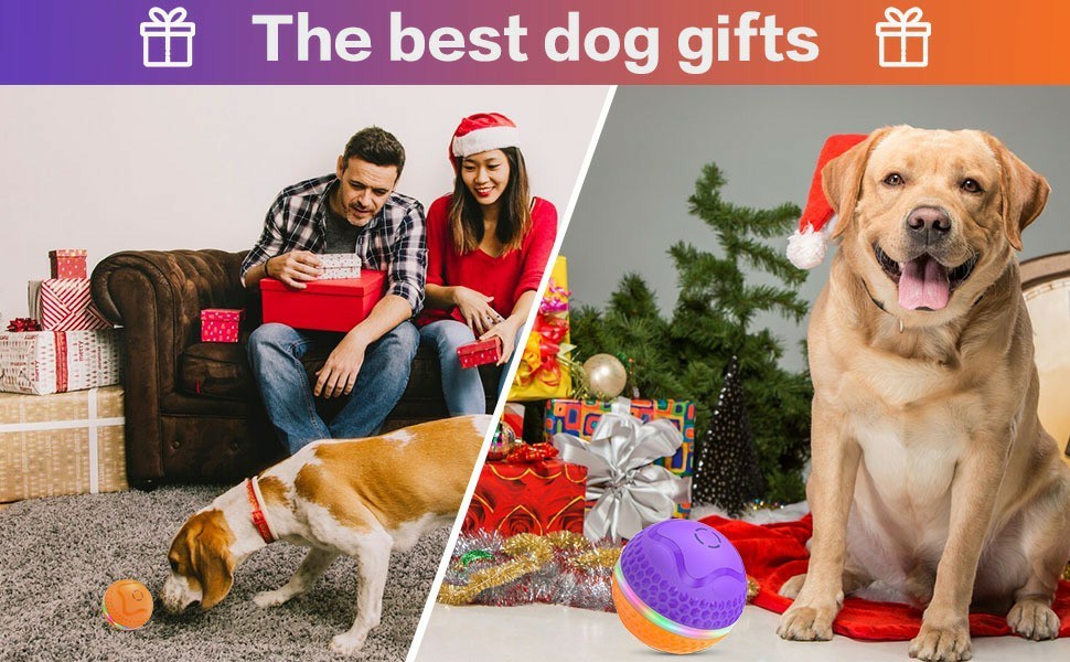 Automatic Rolling Interactive Dog Toy