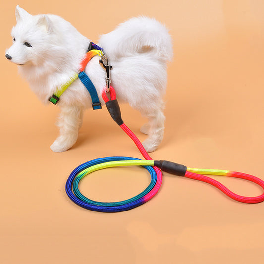 Vibrant Nylon Round Dog Leash for Pet Enthusiasts