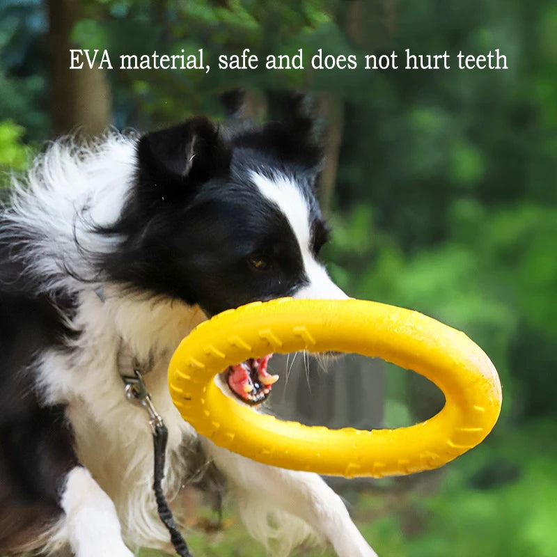 EVA Durable Dog Toy Set: 4-Pack of Flying Discs, Balls, and Tug Ropes for Effective Chew-Proof Dental Care for Puppies and Adult Dogs (2024 Best Seller)