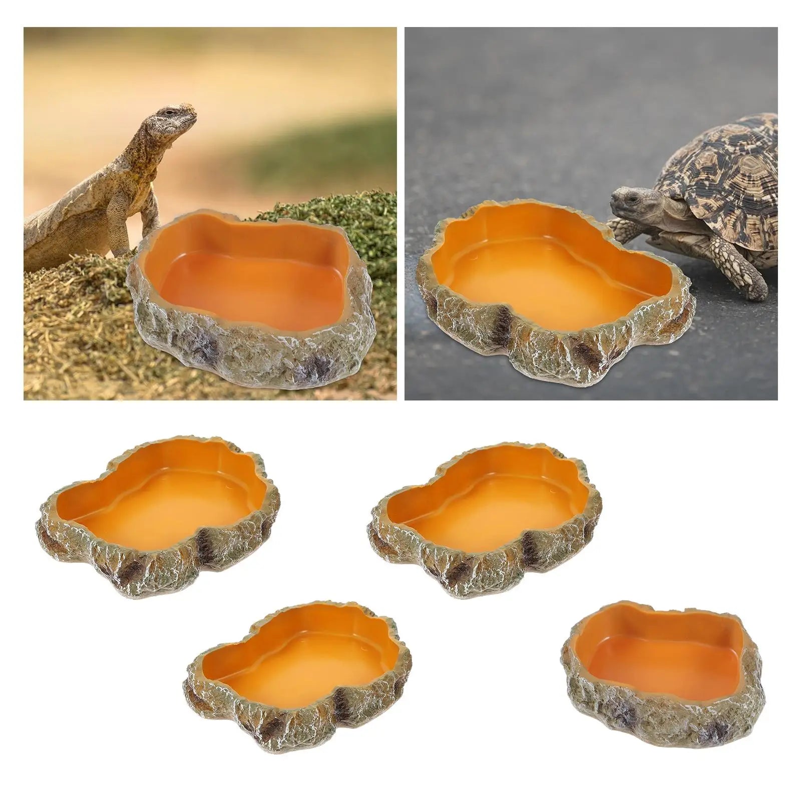 Premium Reptile Water and Feeding Bowl for Terrariums - Ideal for Frogs, Chameleons, Tortoises, Bearded Dragons, and Turtles