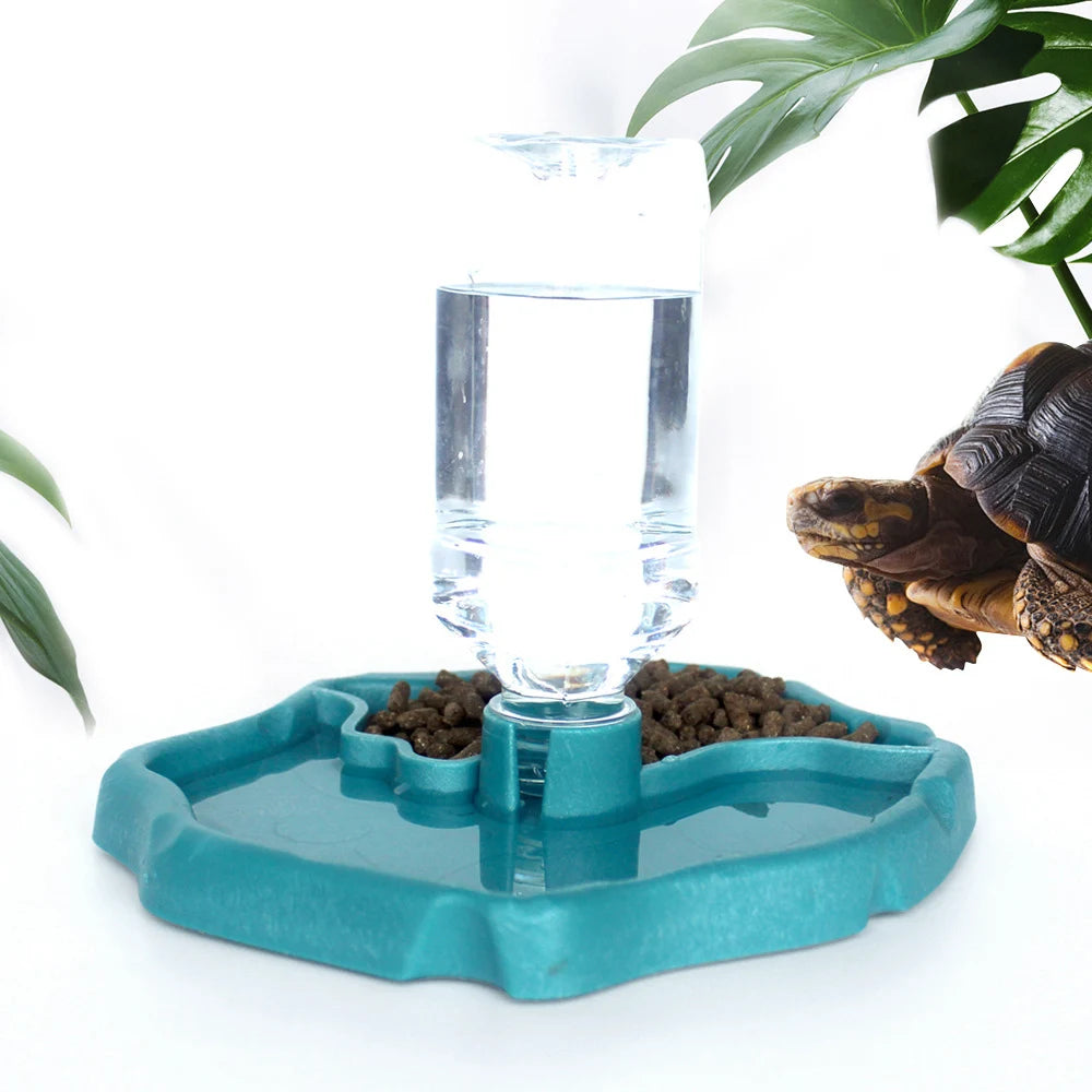 Reptile Feeding Bowl and Turtle Food Dish - Removable and Easy-to-Clean Small Pet Bowl for Reptiles and Amphibians