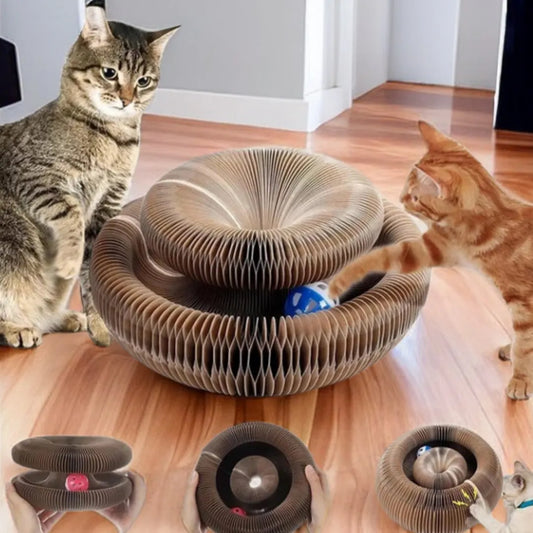 Interactive Cat Scratch and Climbing Board with Ball and Claw Grinding Surface for Kittens