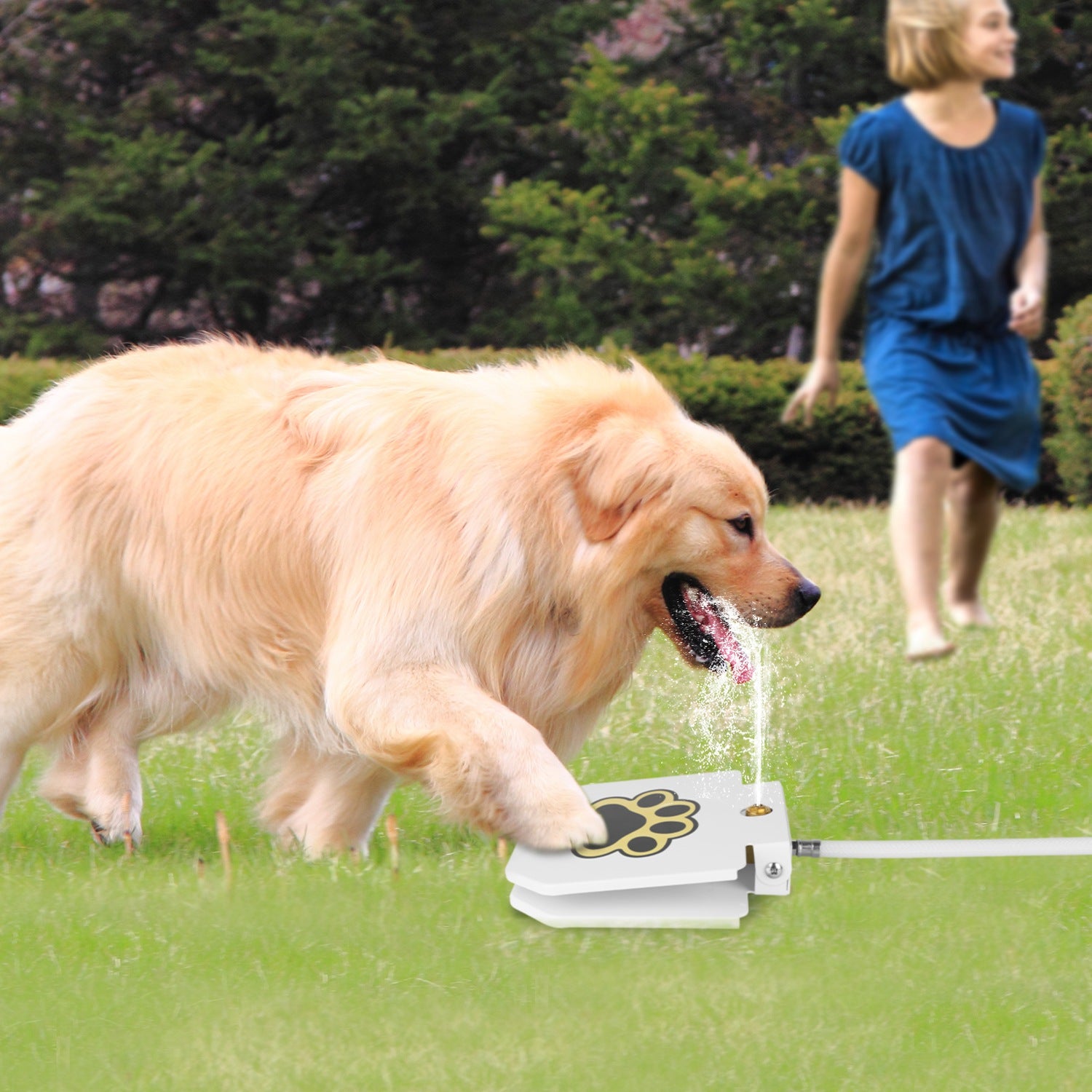 Outdoor Dog Water Fountain - Step-Activated Pet Water Dispenser with Interactive Paw Pedal Valve