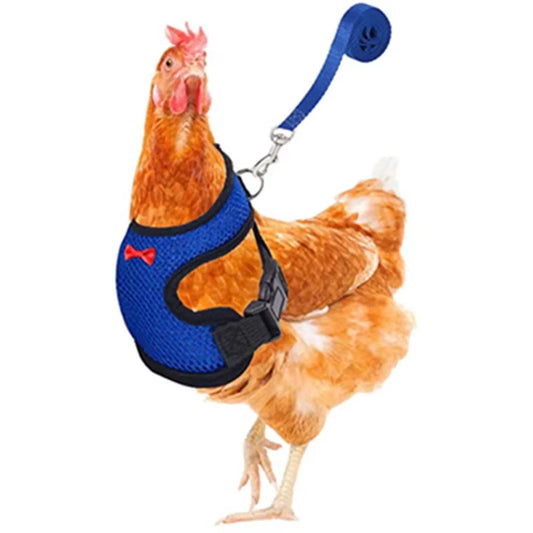 Premium Poultry Harness and Collar Set with Comfortable Leashes and Breathable Design for Chickens and Ducks
