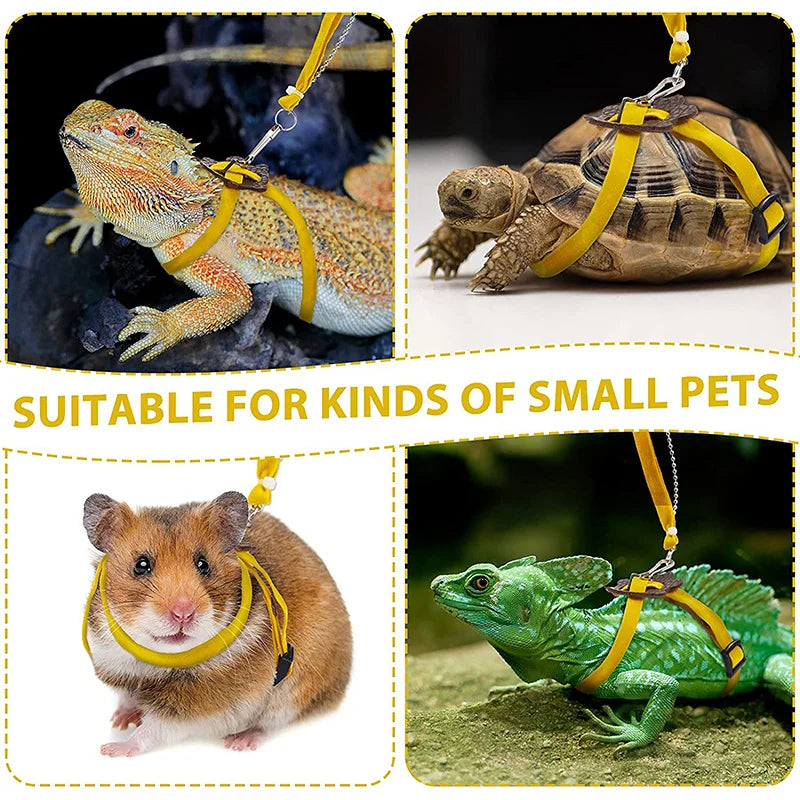 Enhanced Turtle and Lizard Pet Collar and Leash with Bell for Small Reptiles and Guinea Pigs - Outdoor Activity Traction Rope