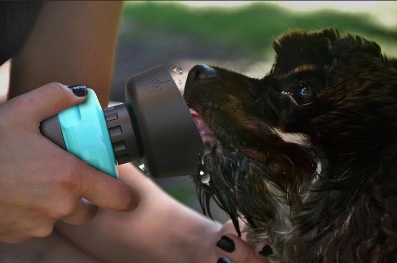 Pet Water Bottle