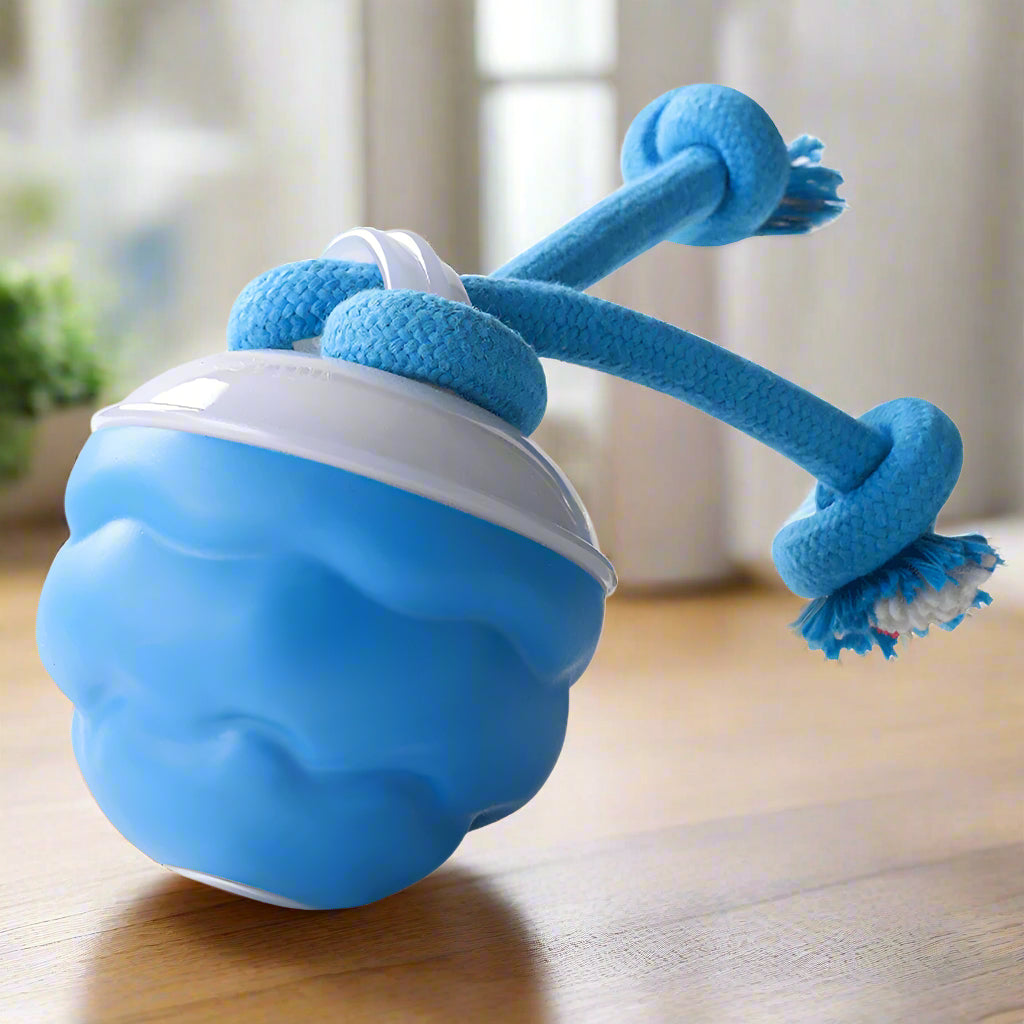 Electric Rolling Ball Interactive Pet Toy with Rope Motion - USB Rechargeable Exercise Toy for Dogs and Cats