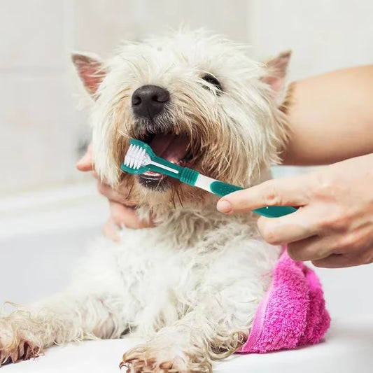 3-Sided Dental Care Toothbrush for Dogs and Cats - Effective Tool for Tartar Removal and Bad Breath Prevention