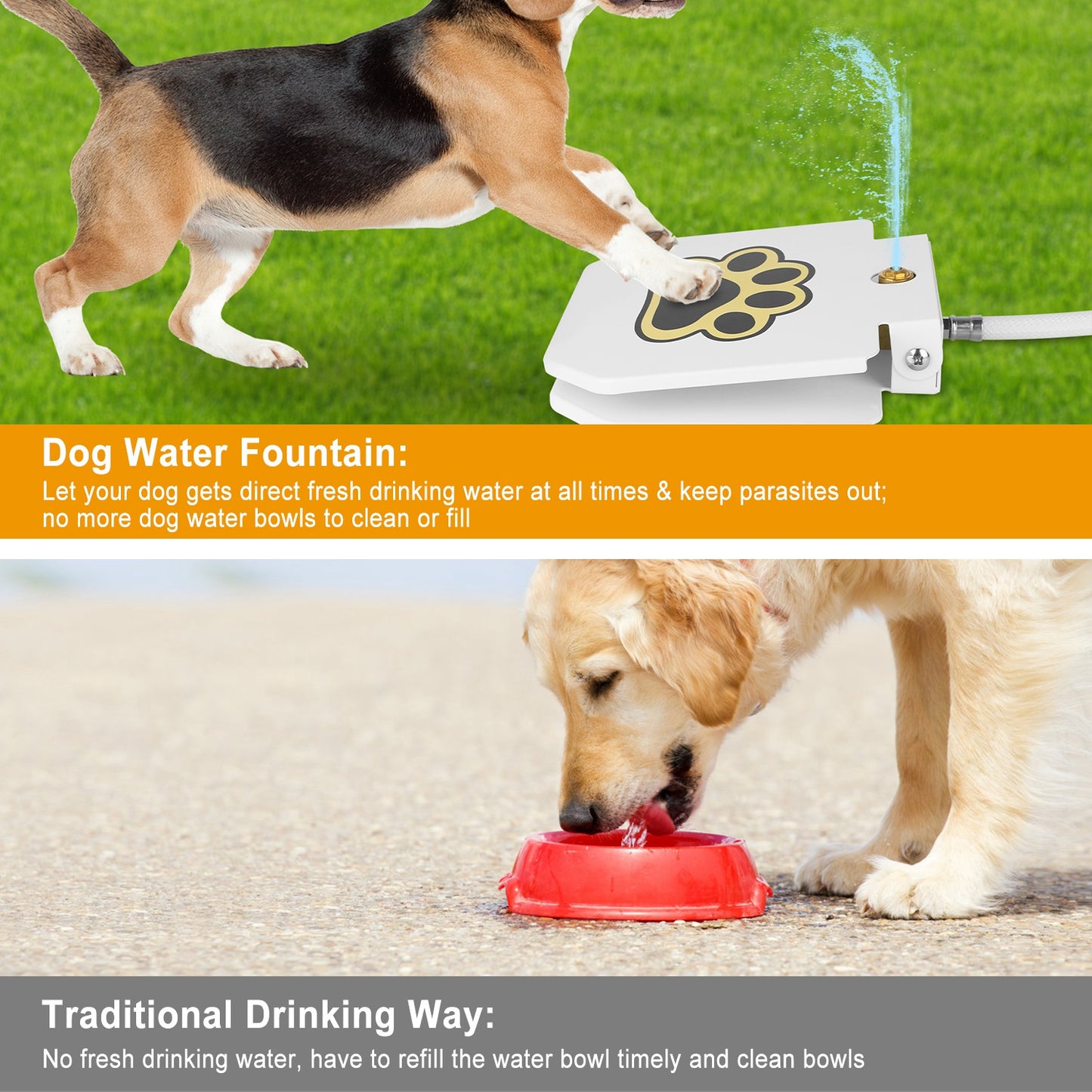 Outdoor Dog Water Fountain - Step-Activated Pet Water Dispenser with Interactive Paw Pedal Valve