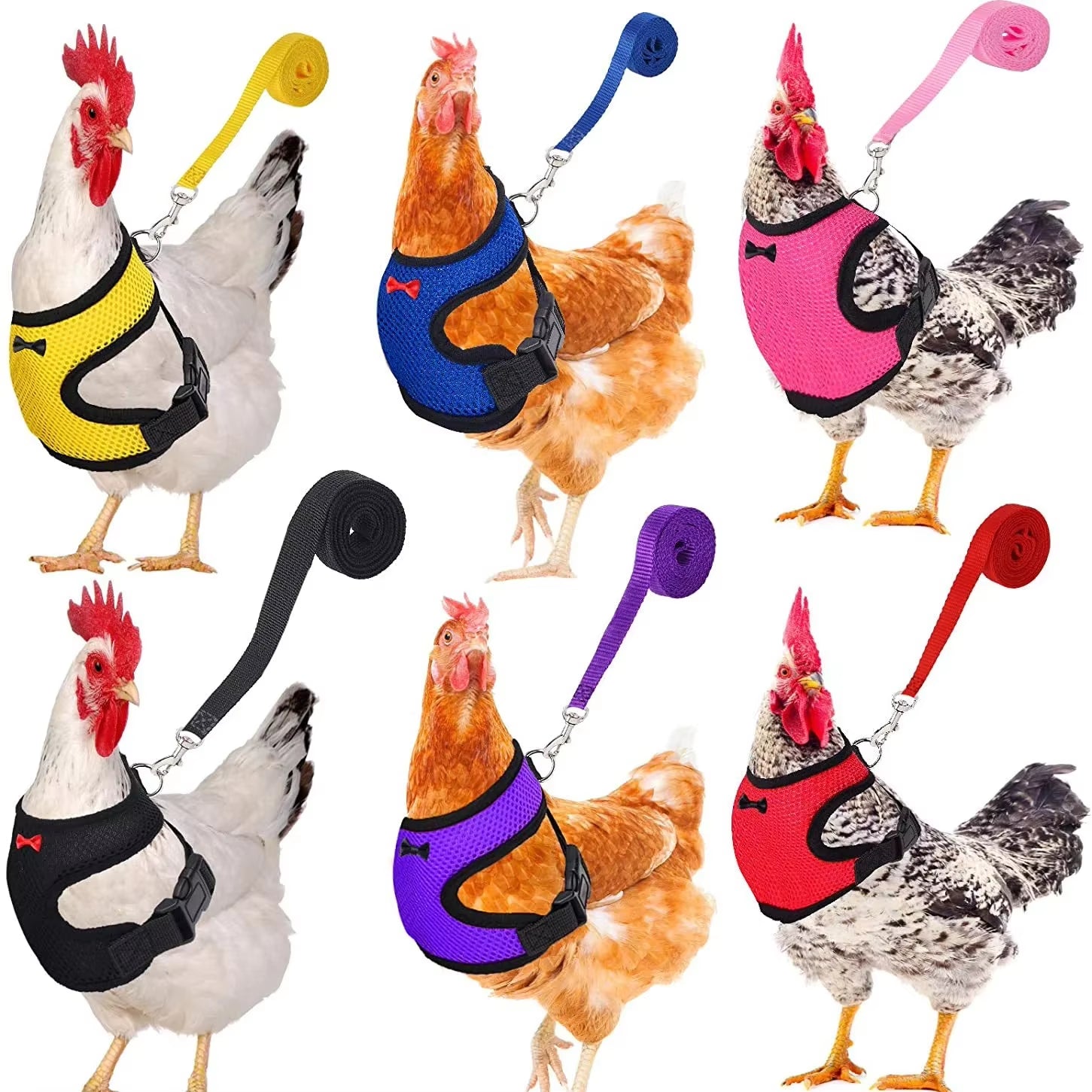 Premium Poultry Harness and Collar Set with Comfortable Leashes and Breathable Design for Chickens and Ducks