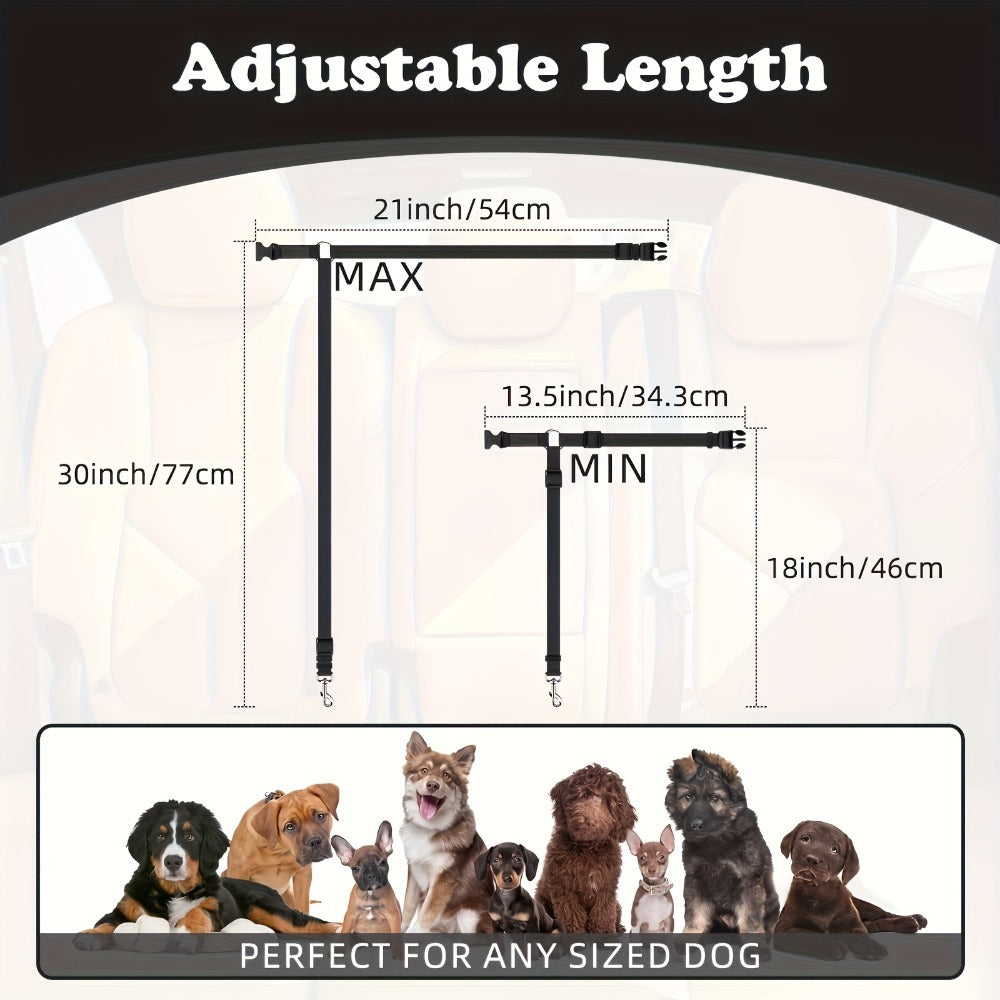 Two - Piece Dog Leash Set