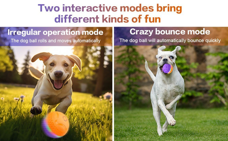 Automatic Rolling Interactive Dog Toy