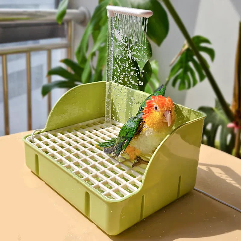 Electric Bathing Basin with Automatic Water Circulation for Budgerigars, Cockatiels, and Sun Conures
