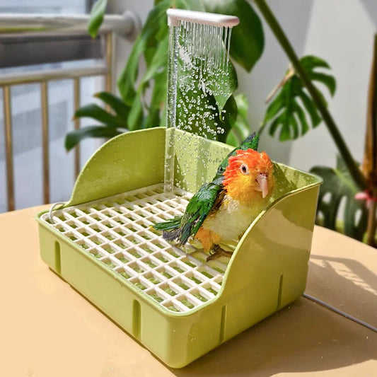 Electric Bathing Basin with Automatic Water Circulation for Budgerigars, Cockatiels, and Sun Conures