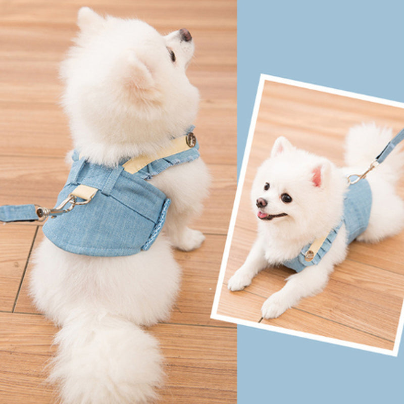 Elegant Dog Harness and Leash Ensemble