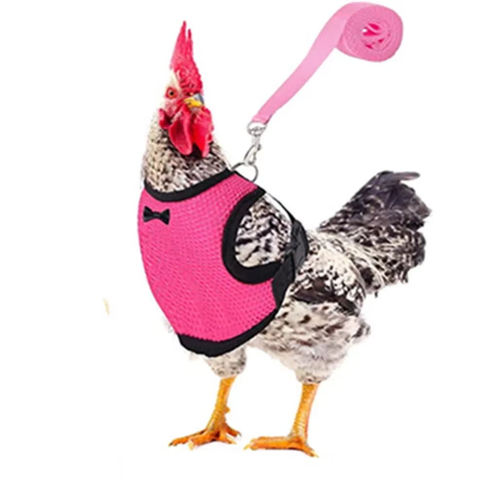 Premium Poultry Harness and Collar Set with Comfortable Leashes and Breathable Design for Chickens and Ducks