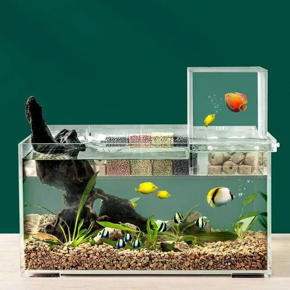 Acrylic Suspended Fish Tank with Innovative Negative Pressure Design - Effortless Installation and Striking Aquatic Display