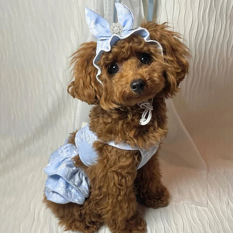 Embroidered Cat Princess Jumpsuit with Hat for Small Dogs and Teddy Bears - Spring and Summer Collection