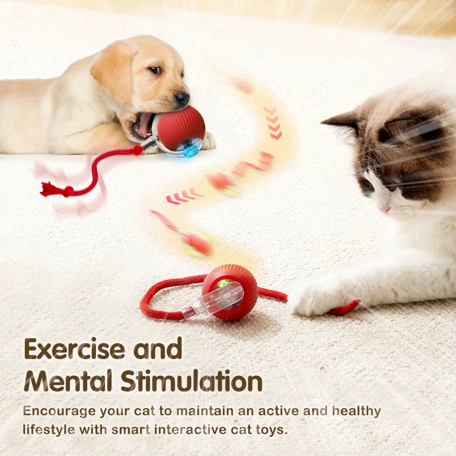 Interactive Rechargeable Cat Ball Toy with Tail - Automatic Rolling Smart Pet Plaything