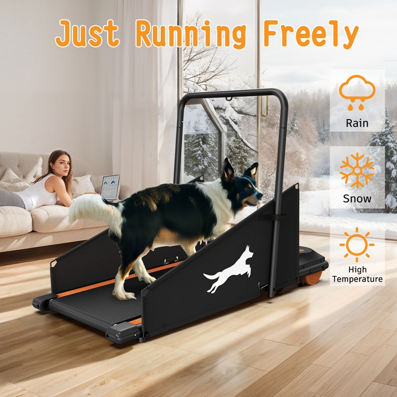 Dog Treadmill For Healthy & Fit Pets