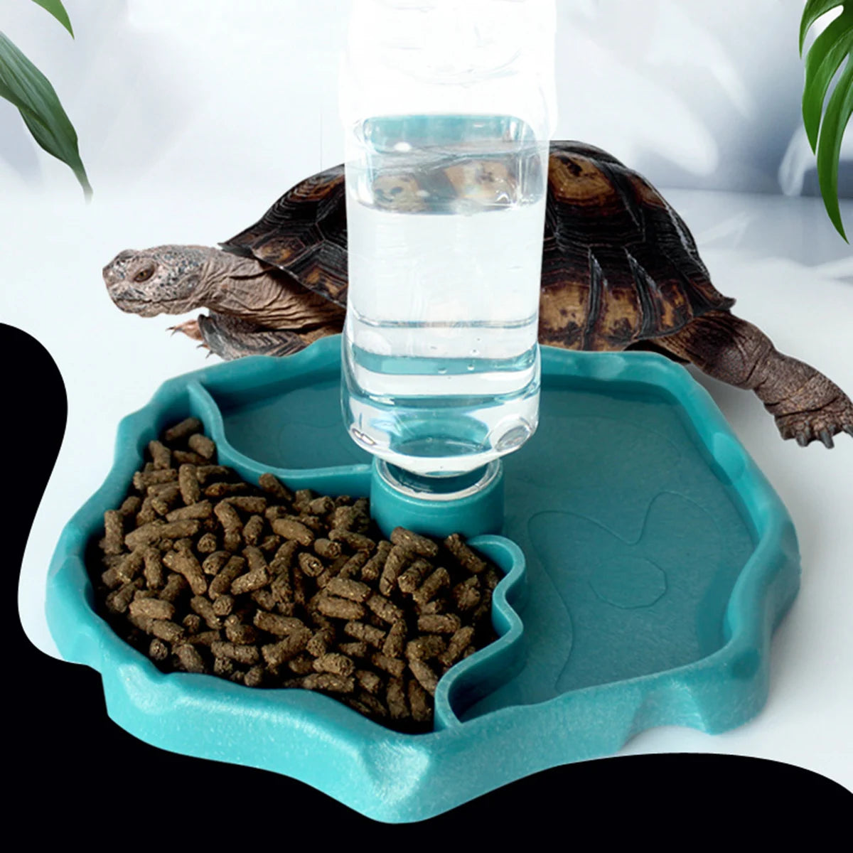 Reptile Feeding Bowl and Turtle Food Dish - Removable and Easy-to-Clean Small Pet Bowl for Reptiles and Amphibians