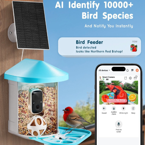 Intelligent Bird Feeder with 2K HD Camera and AI-Driven Bird Species Identification for Automated Capture