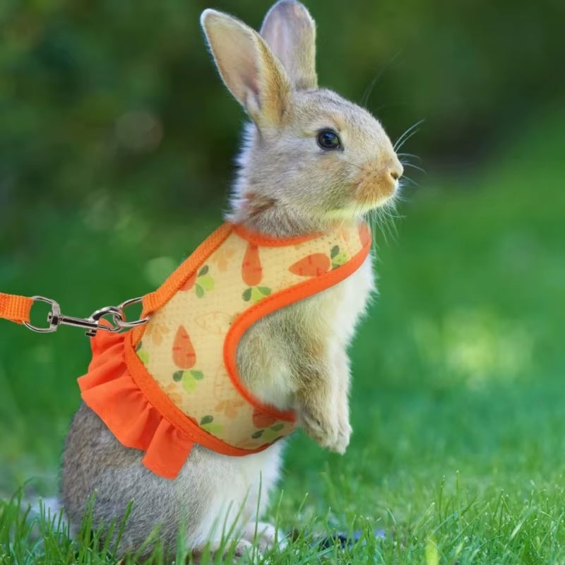 Adjustable Rabbit Harness and Leash - Breathable Mesh Vest with Skirt for Small Pets Including Bunnies and Guinea Pigs