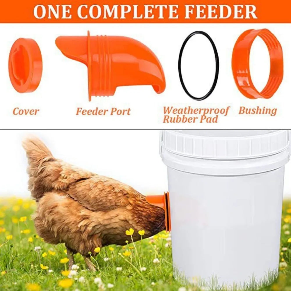 Automatic Gravity Poultry Feeder with Rainproof Design to Reduce Feed Waste for Chickens and Ducks