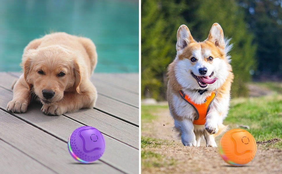 Automatic Rolling Interactive Dog Toy