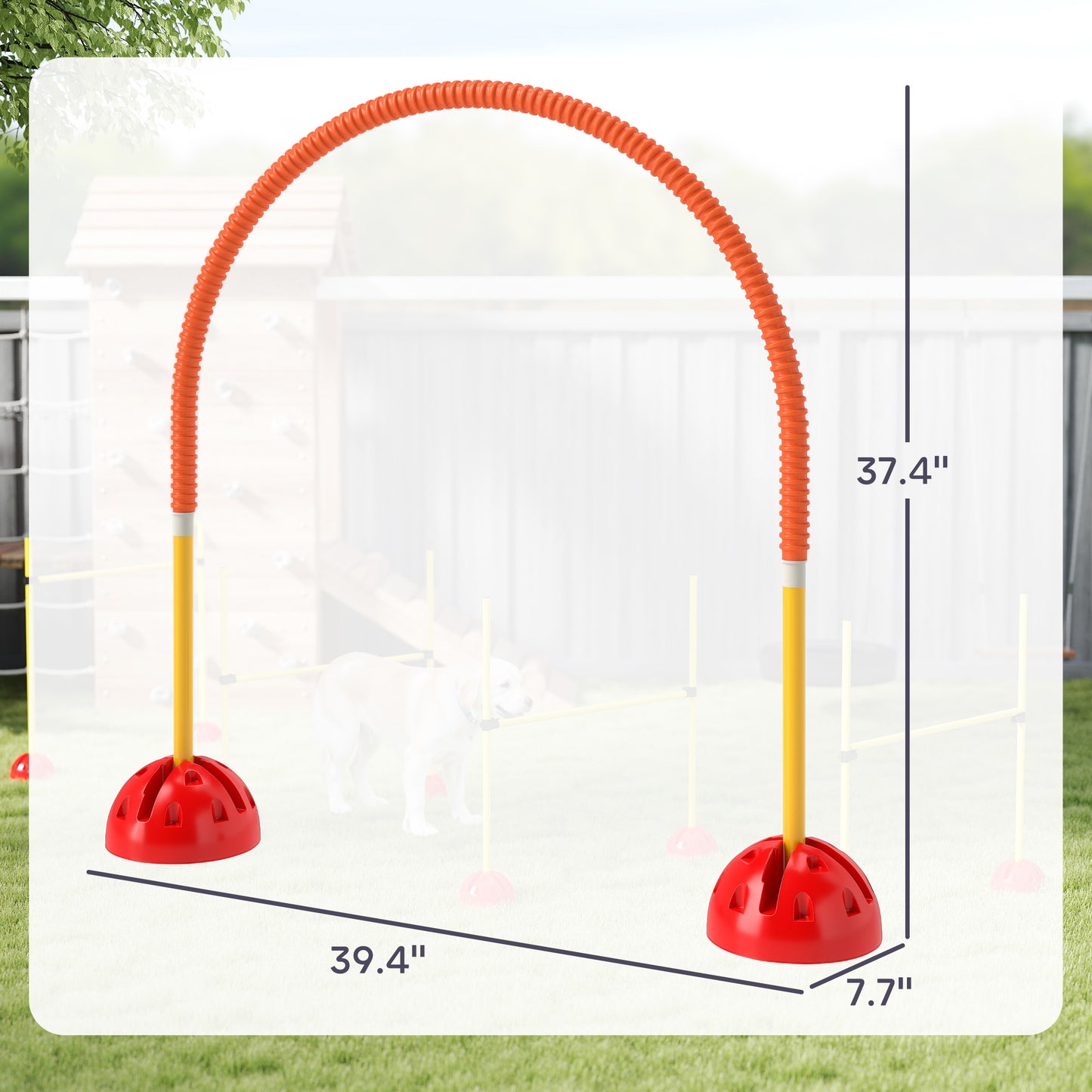 Dog Agility Equipment
