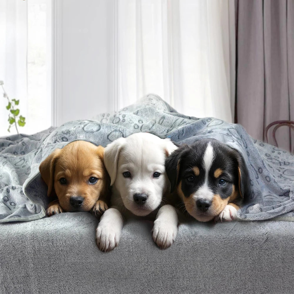 Premium Ultra-Soft Paw Print Dog Blanket - Machine Washable Cozy Pet Pillow Pad for Indoor and Outdoor Use - Ideal for Small to Large Pets