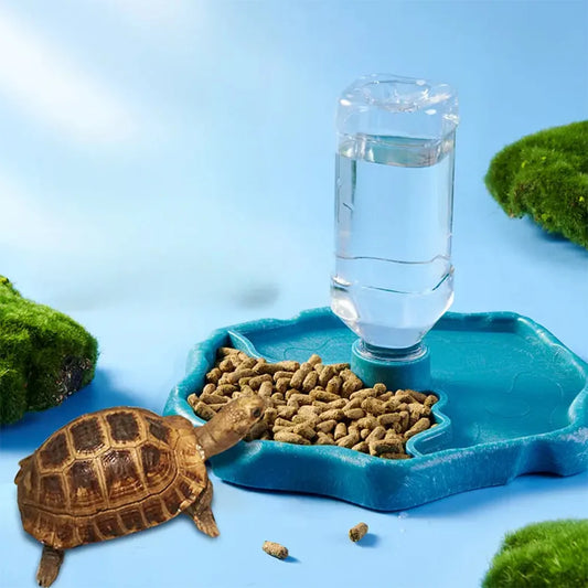 Reptile Feeding Bowl and Turtle Food Dish - Removable and Easy-to-Clean Small Pet Bowl for Reptiles and Amphibians